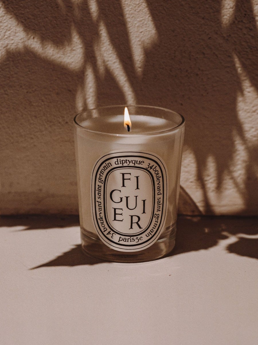 Figuier (Fig Tree) - Classic Candle