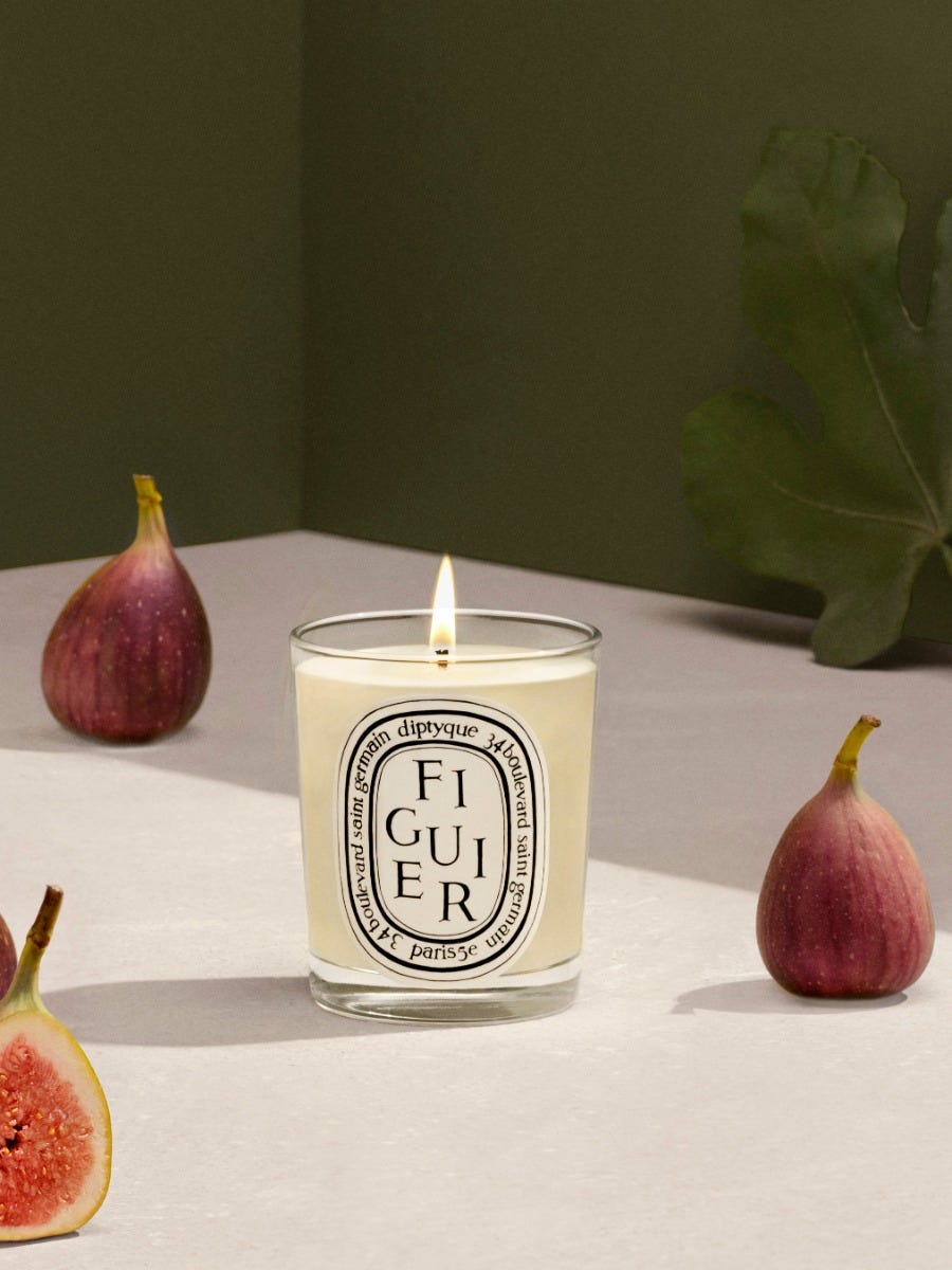 Figuier (Fig Tree) - Classic Candle