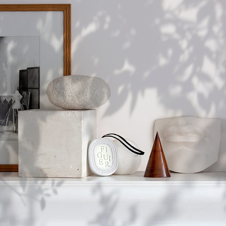 Figuier (Fig Tree ) - Wax Oval