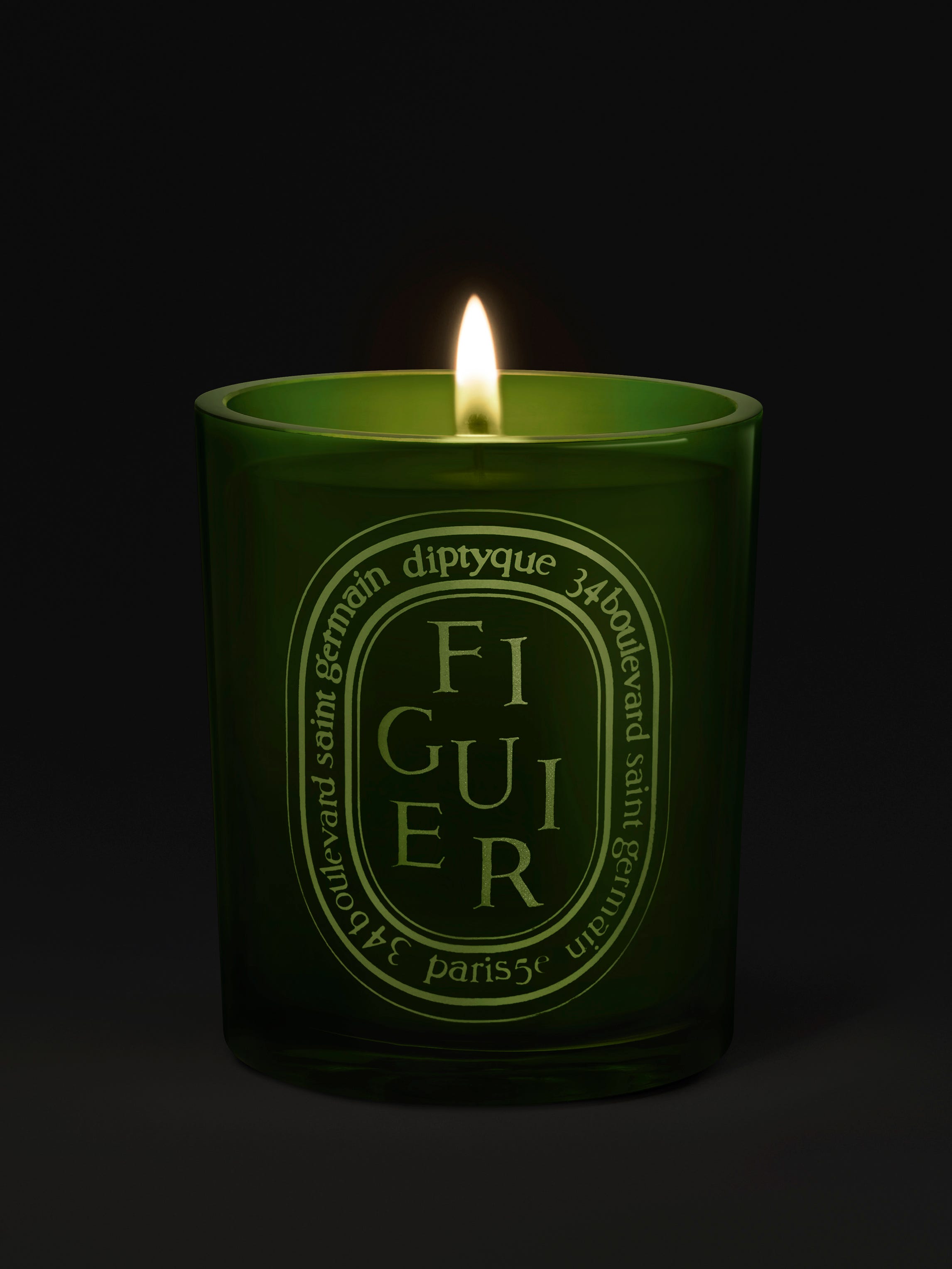 Figuier (Fig Tree) - Medium Candle