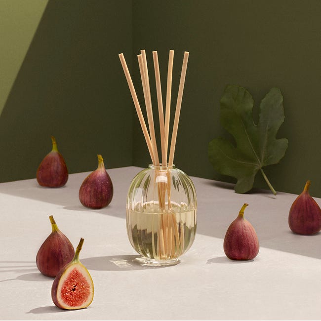 Figuier (Fig Tree) - Home Fragrance Diffuser