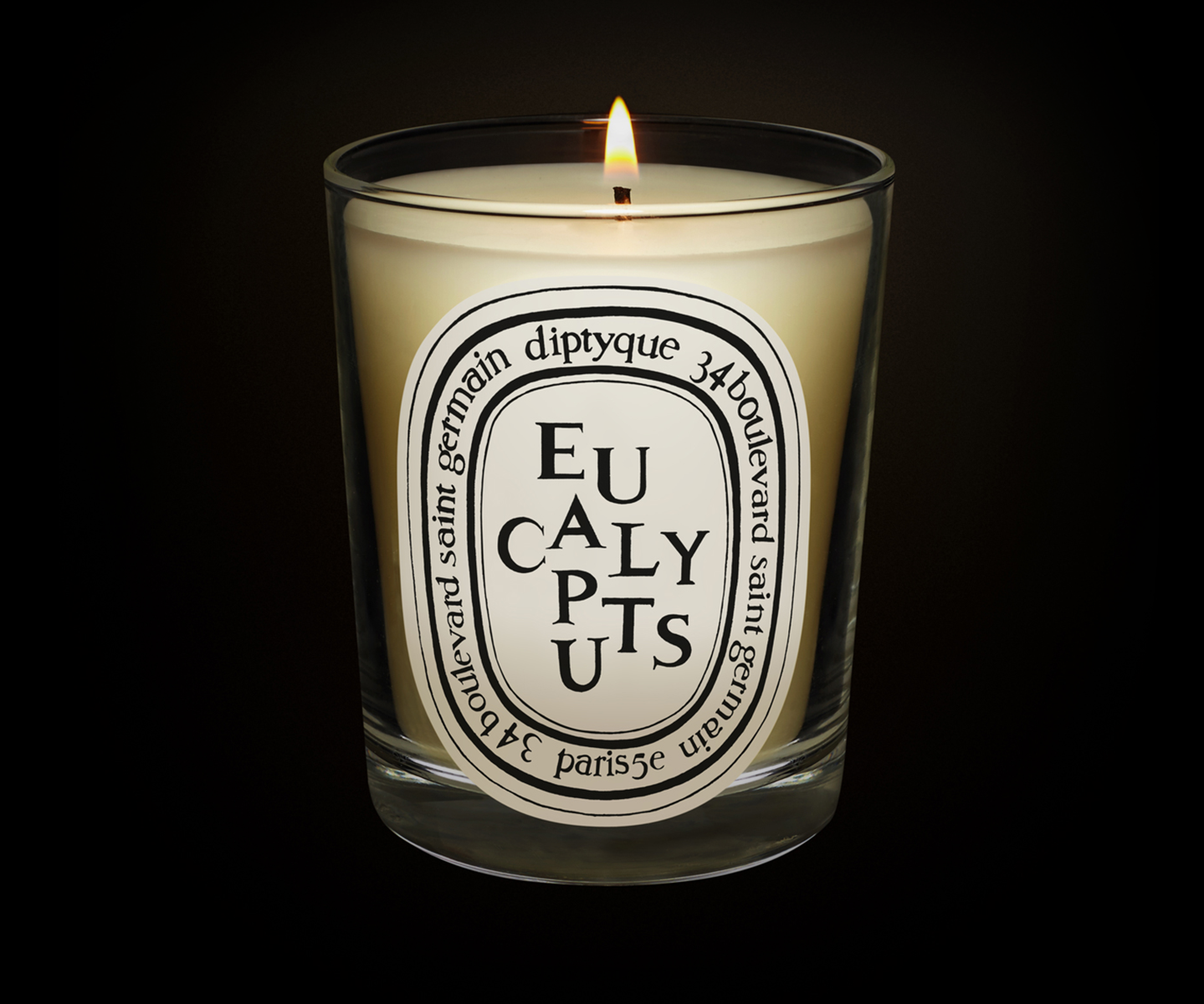 Eucalyptus - Classic Candle