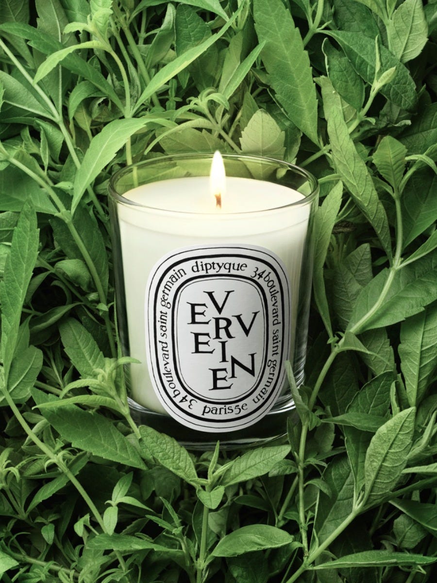 Verveine (Lemon Verbena) - Small Candle