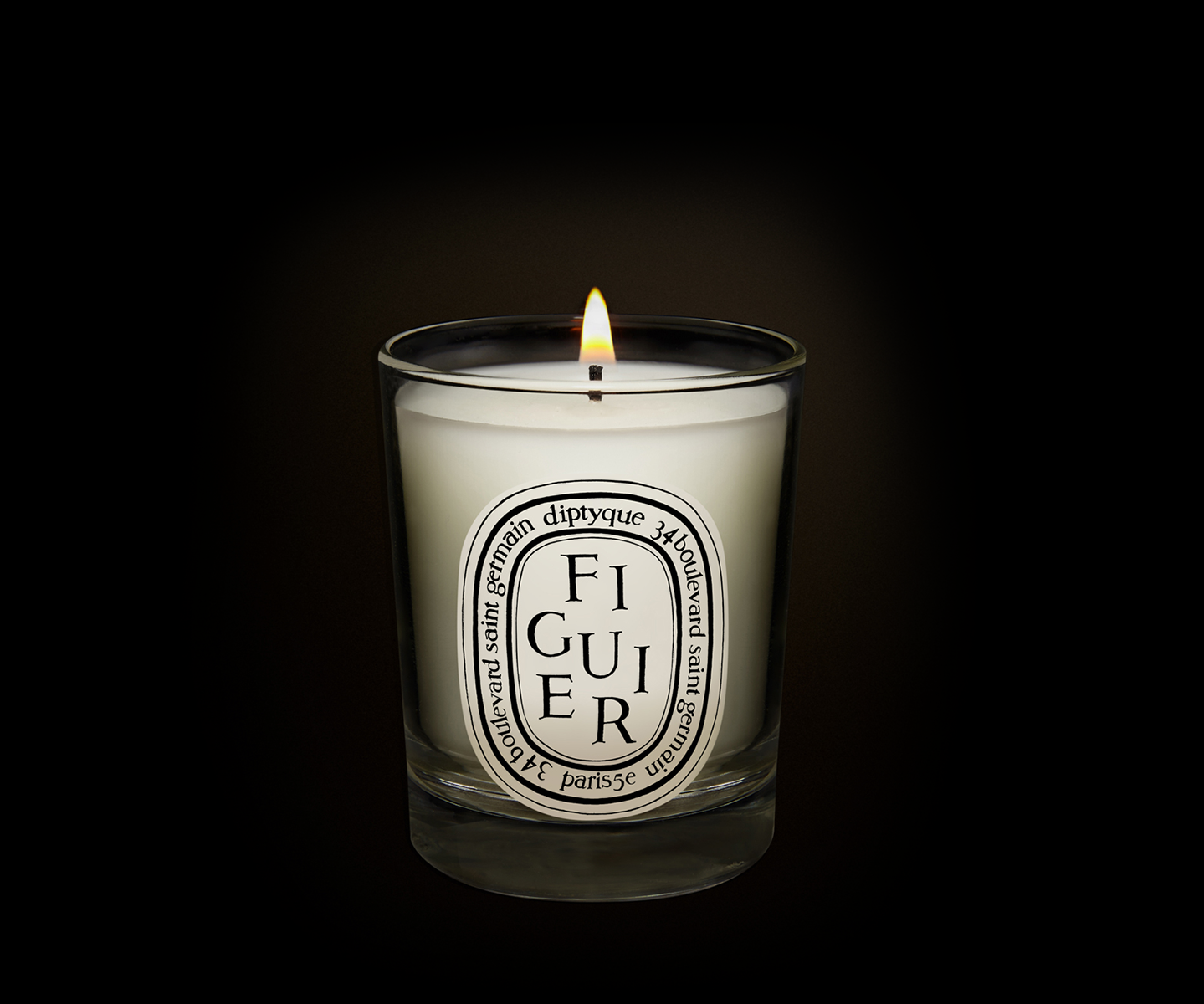 Figuier (Fig Tree) - Small Candle