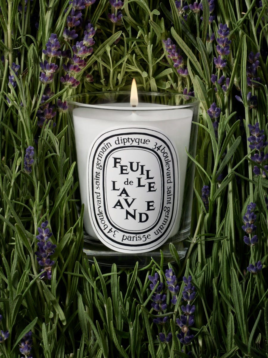 Feuille de Lavande (Lavender Leaf) - Classic Candle
