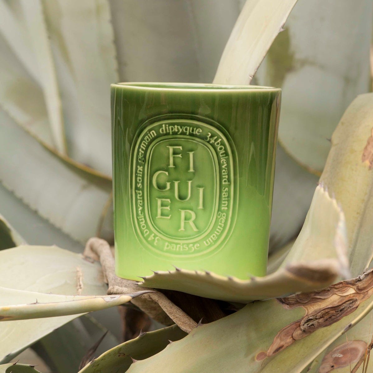 Figuier (Fig Tree) - Very Large Candle