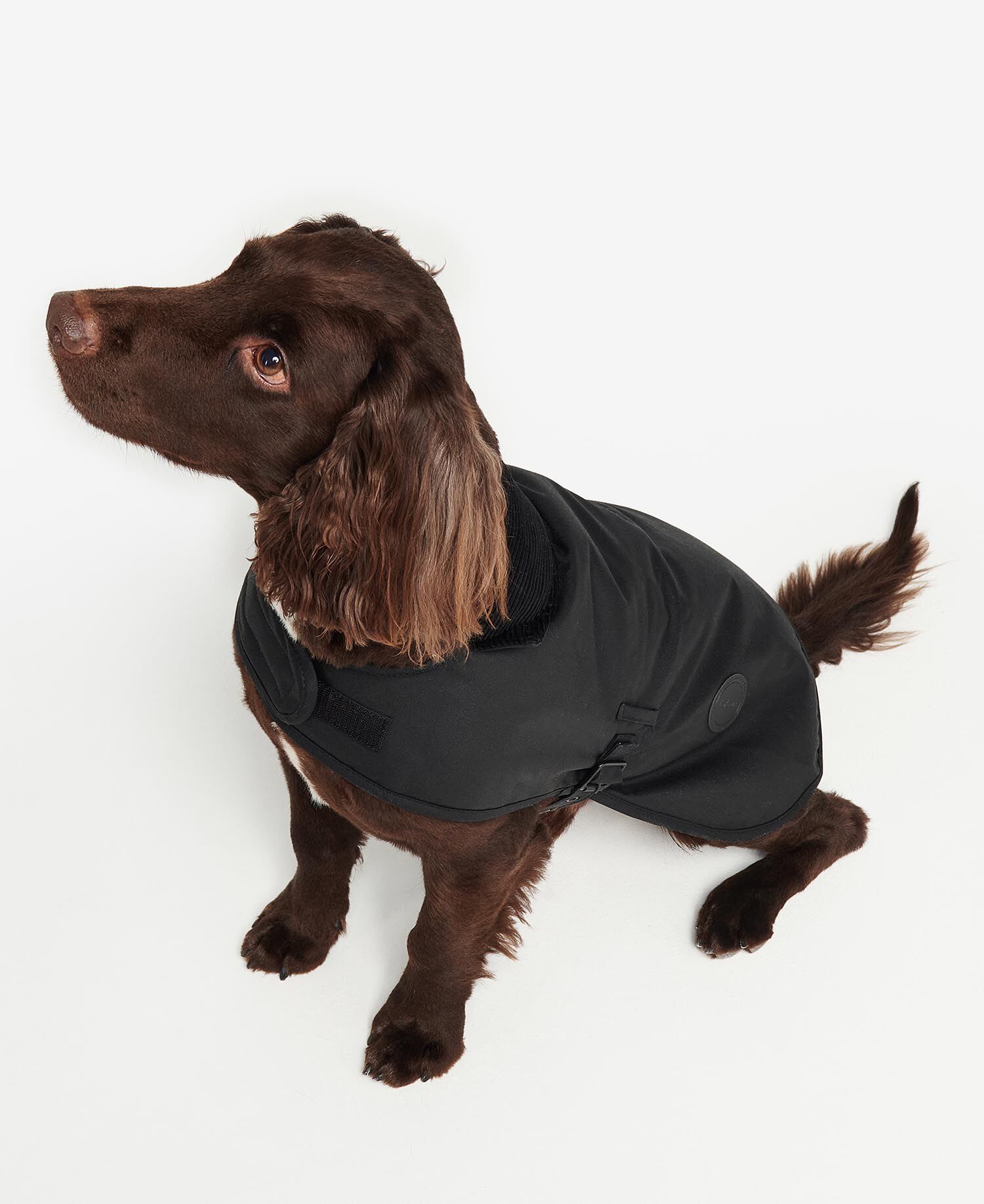 Waxed Dog Coat
