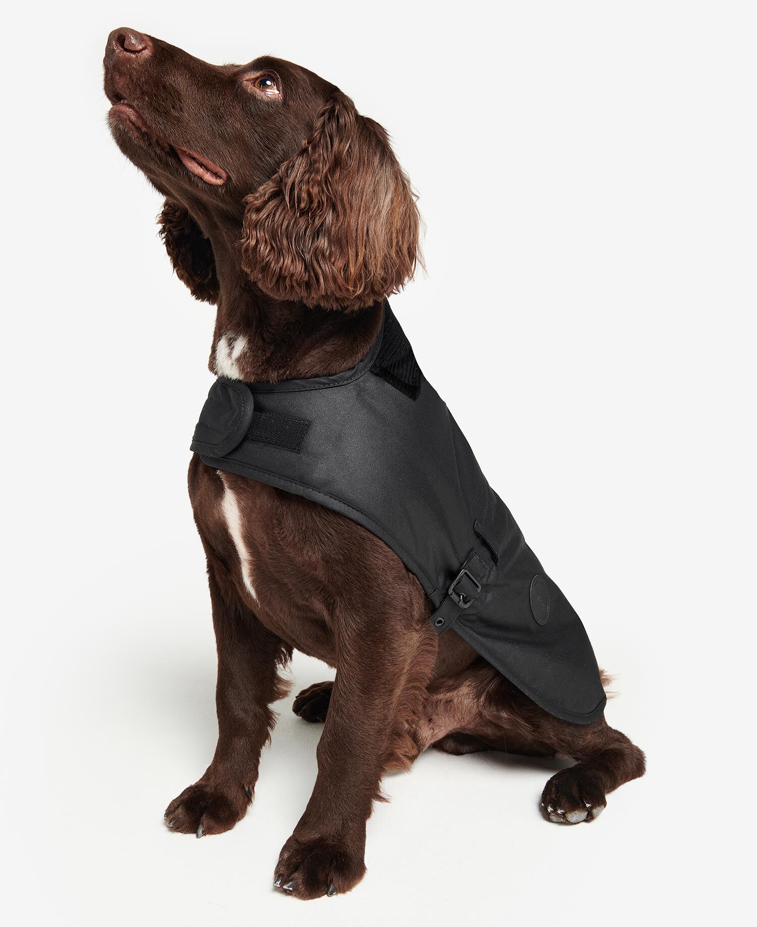 Waxed Dog Coat