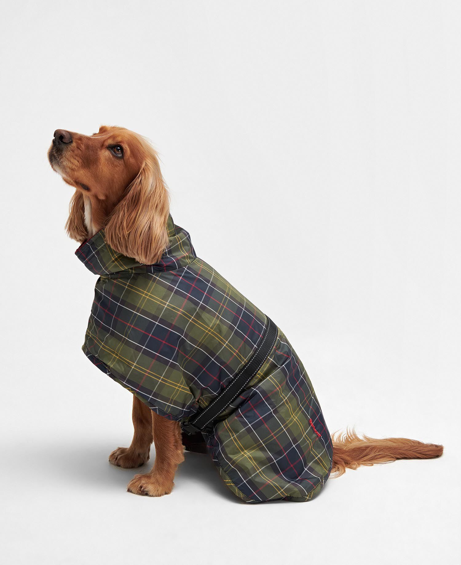 Tartan Dog Drying Robe