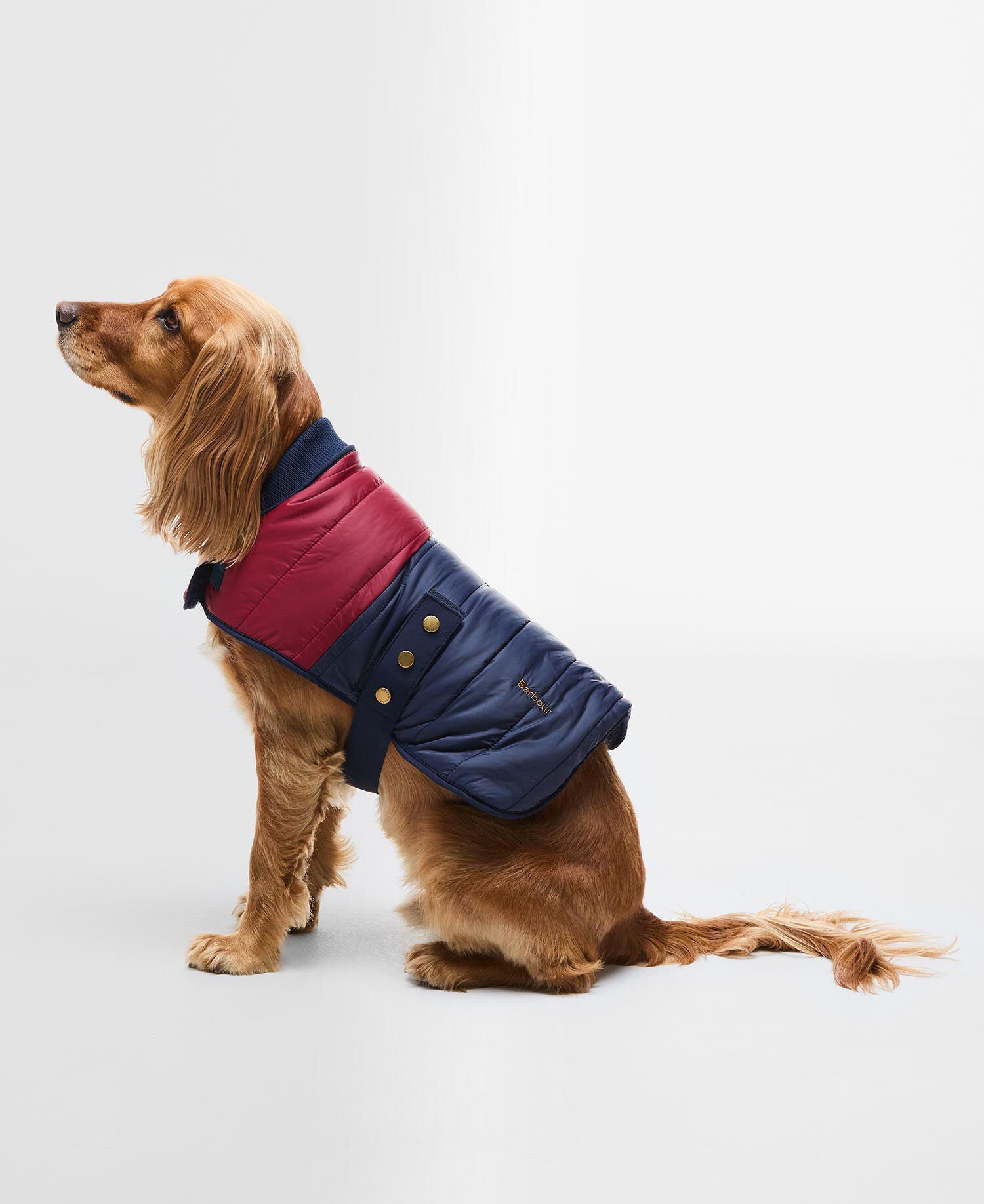 Brampton Quilted Dog Coat