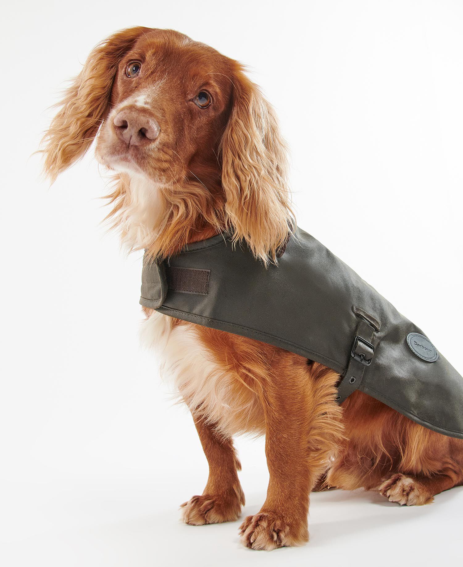 Waxed Dog Coat