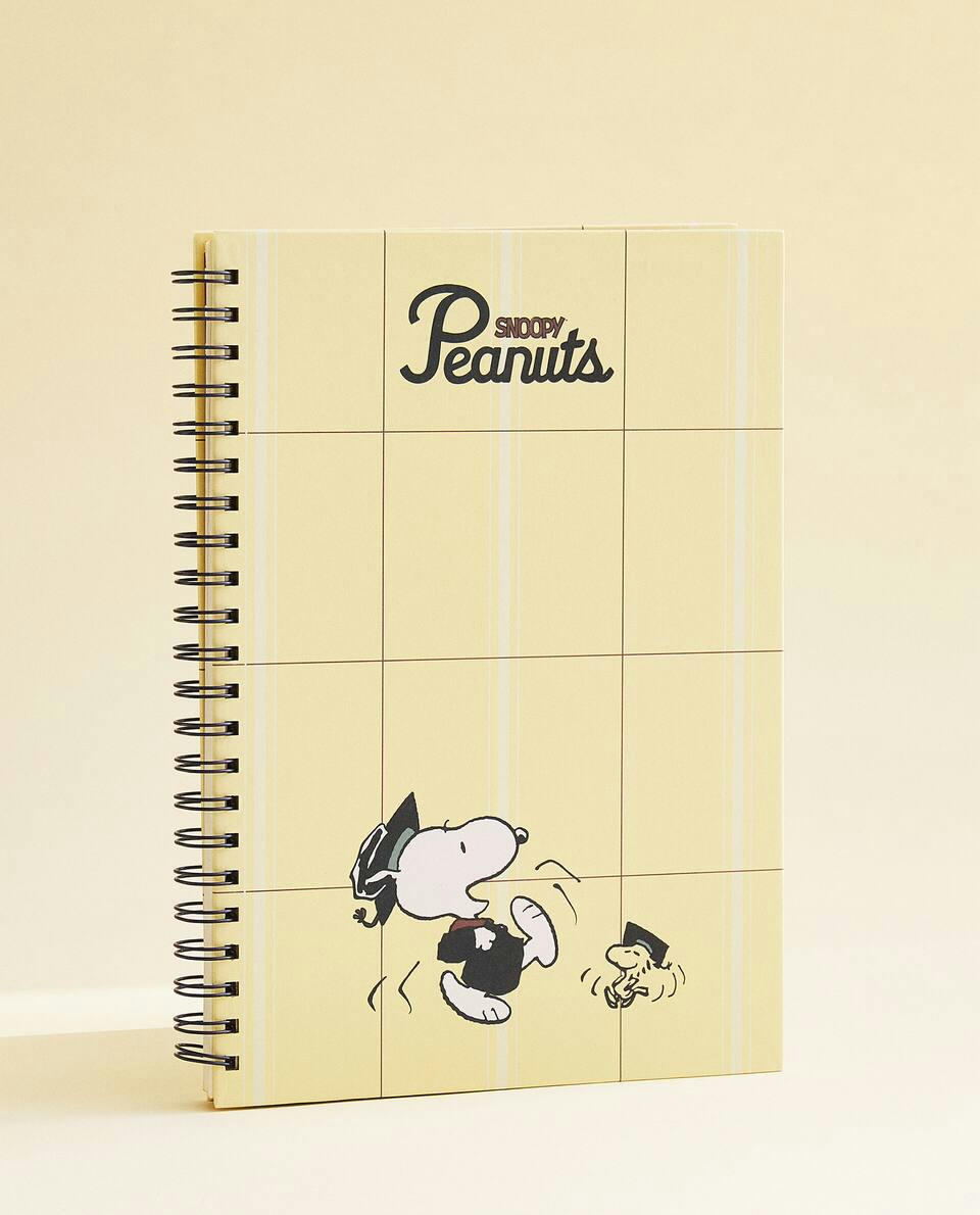 PEANUTS? NOTEBOOK