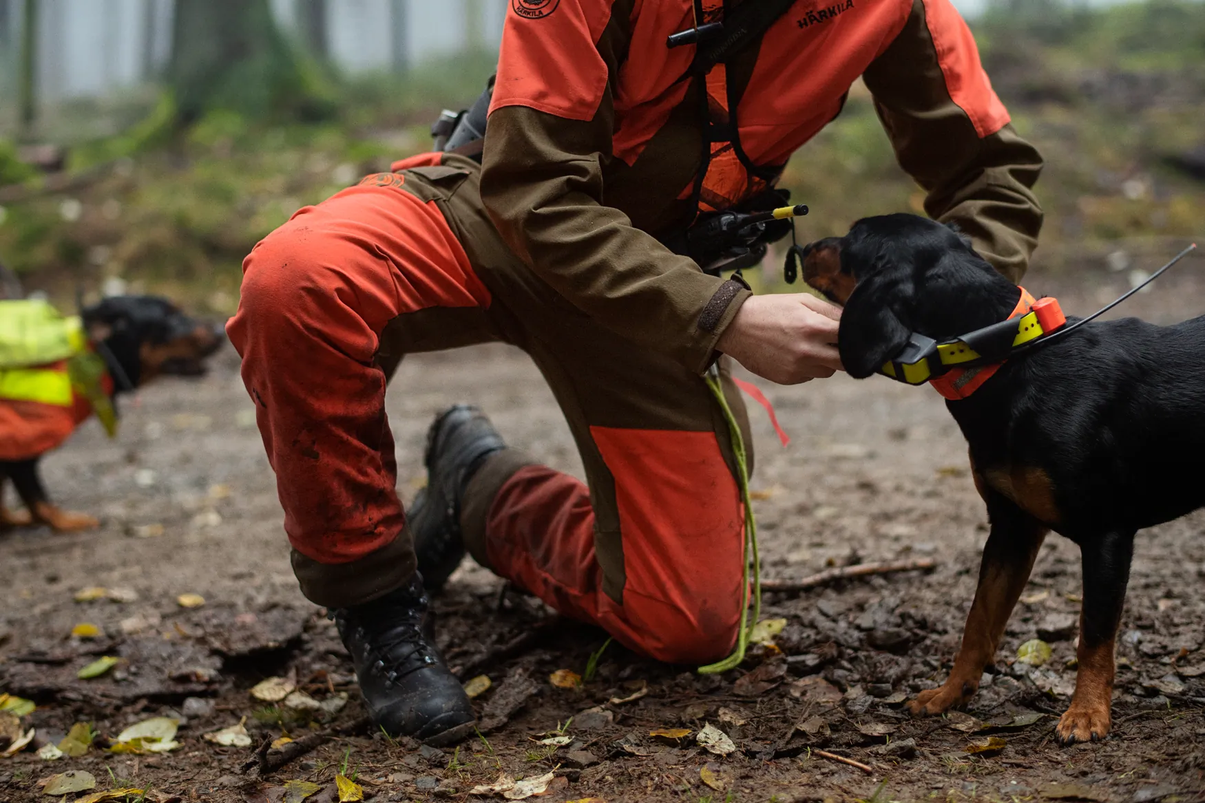 Wildboar Pro trousers