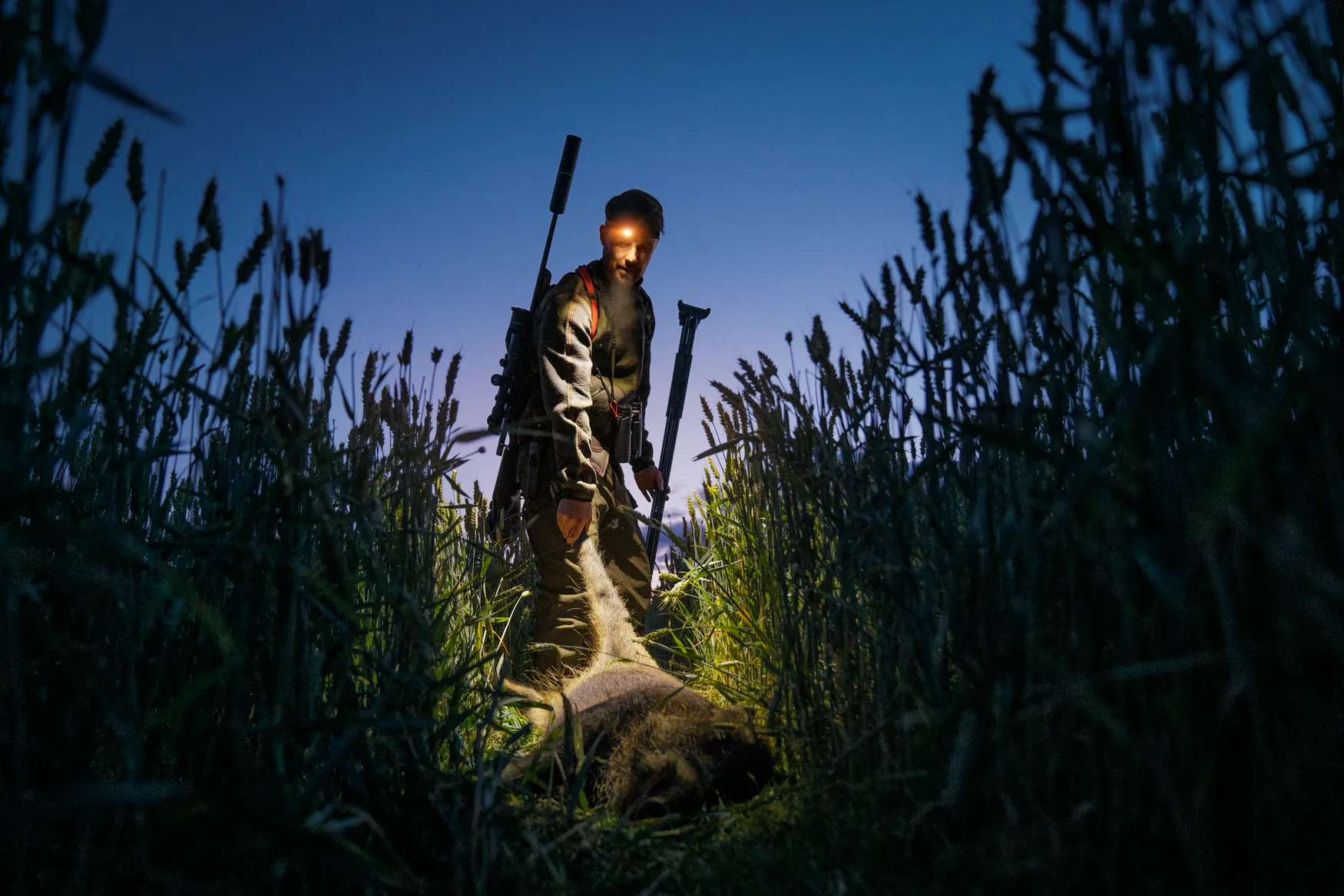 Wildboar Pro Move trousers