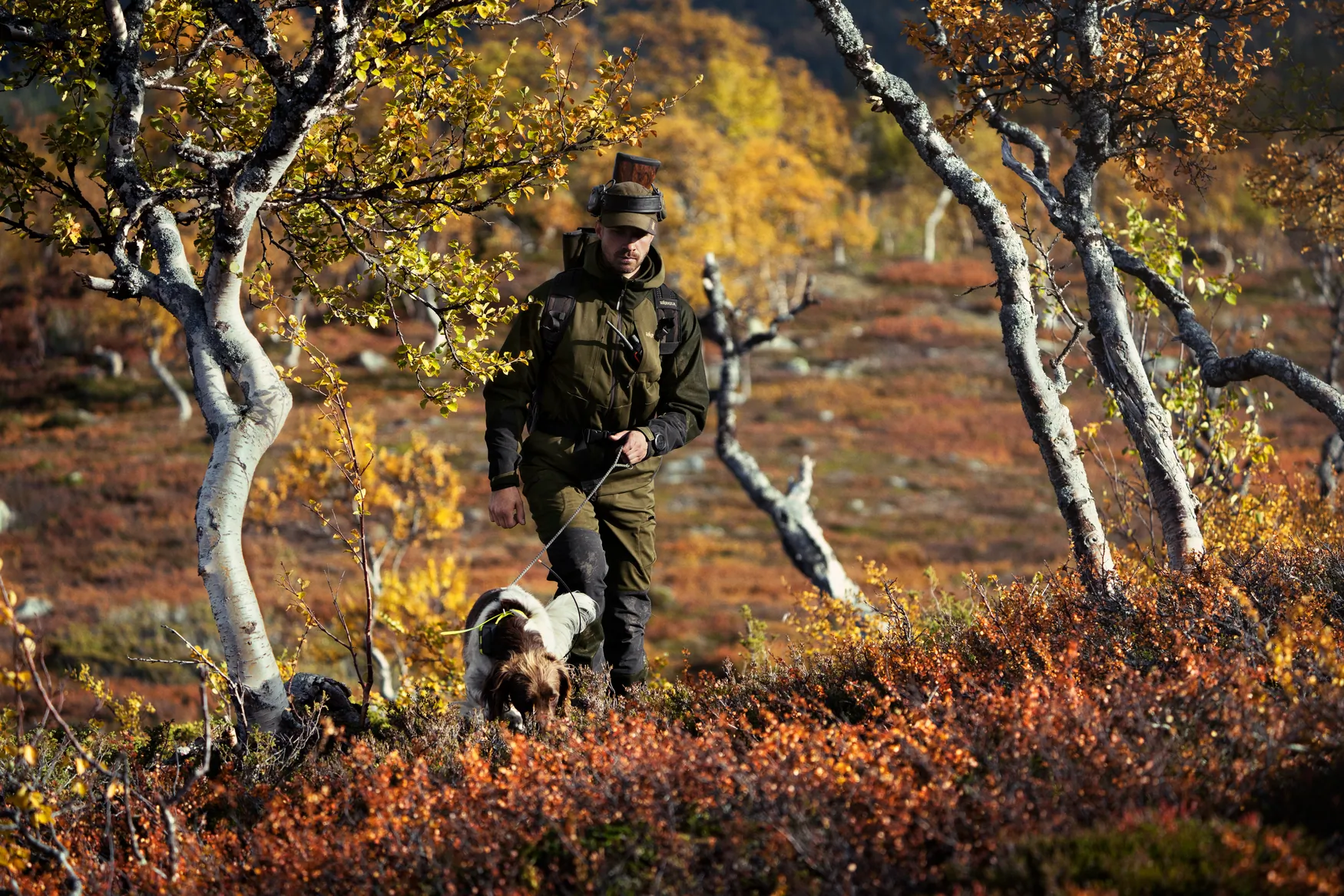 Mountain Hunter Hybrid jacket