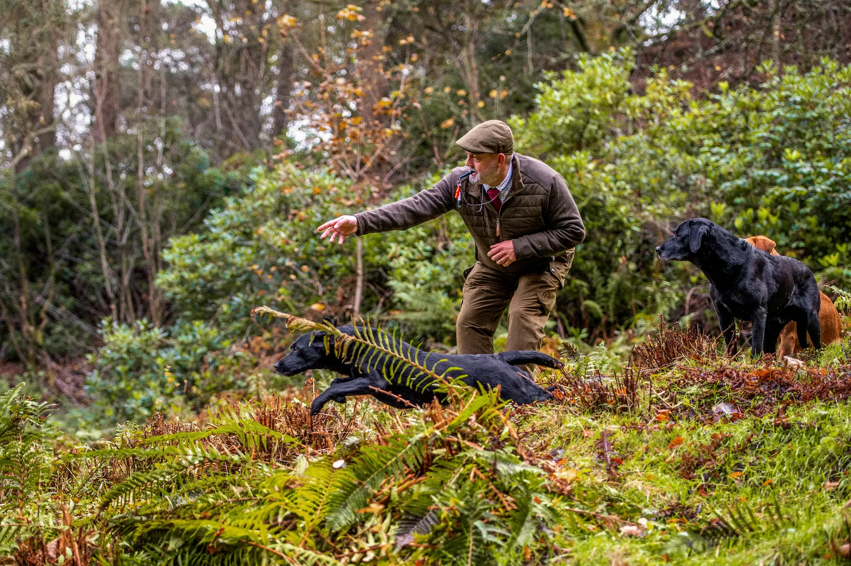 Retrieve Insulated cardigan