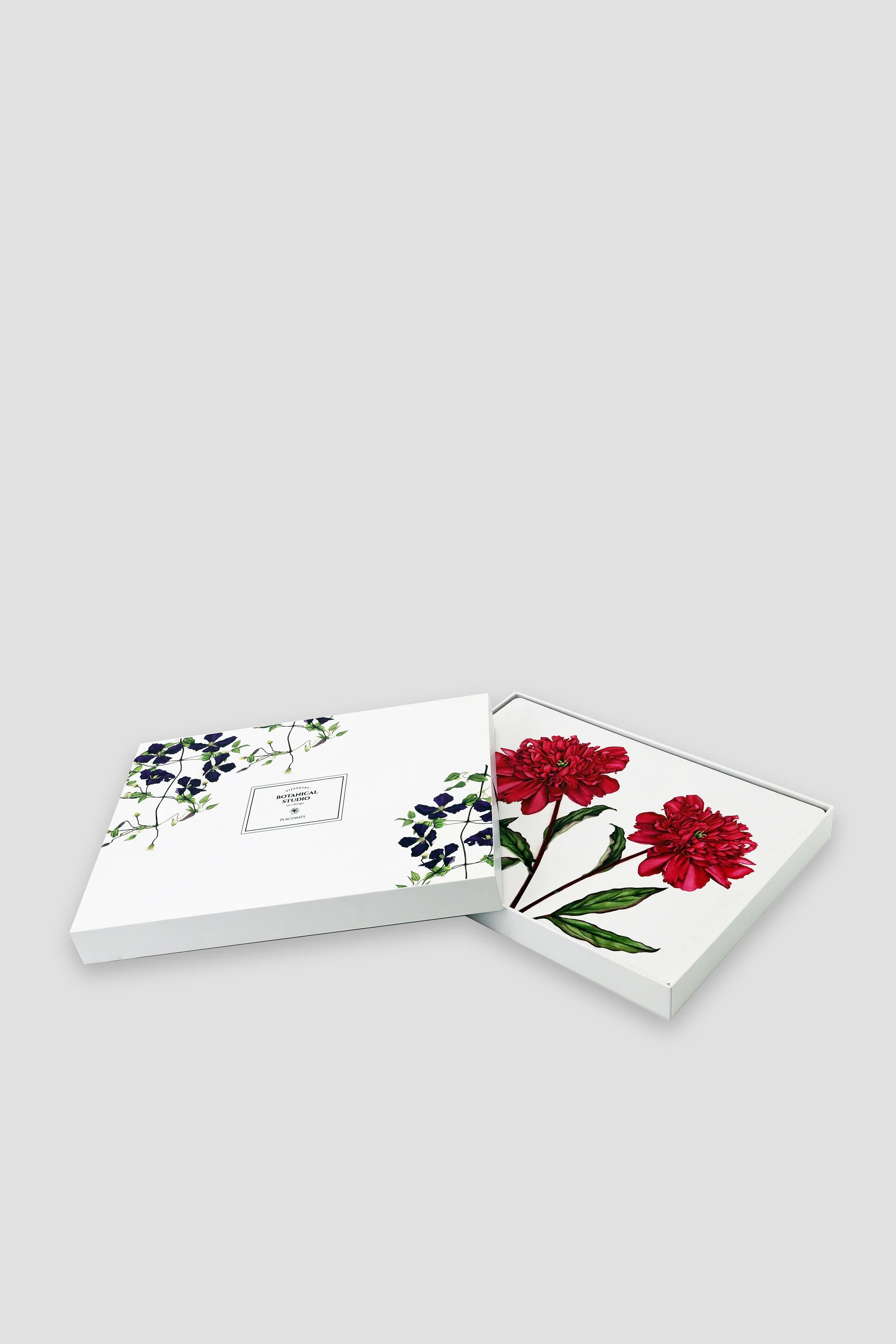 Botanical Cork Backed Placemats S/6
