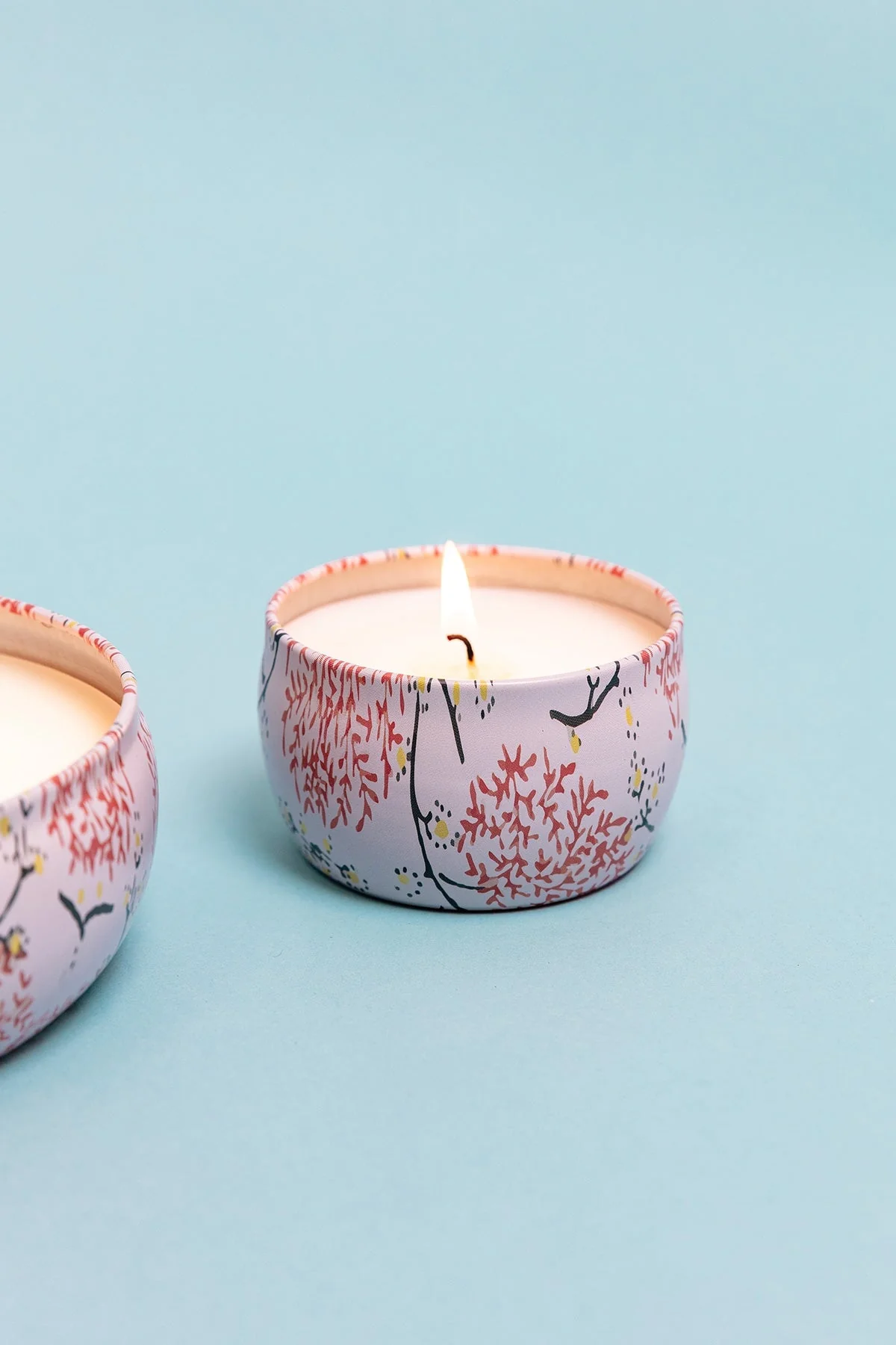 Grapefruit & Currant Small Travel Candle