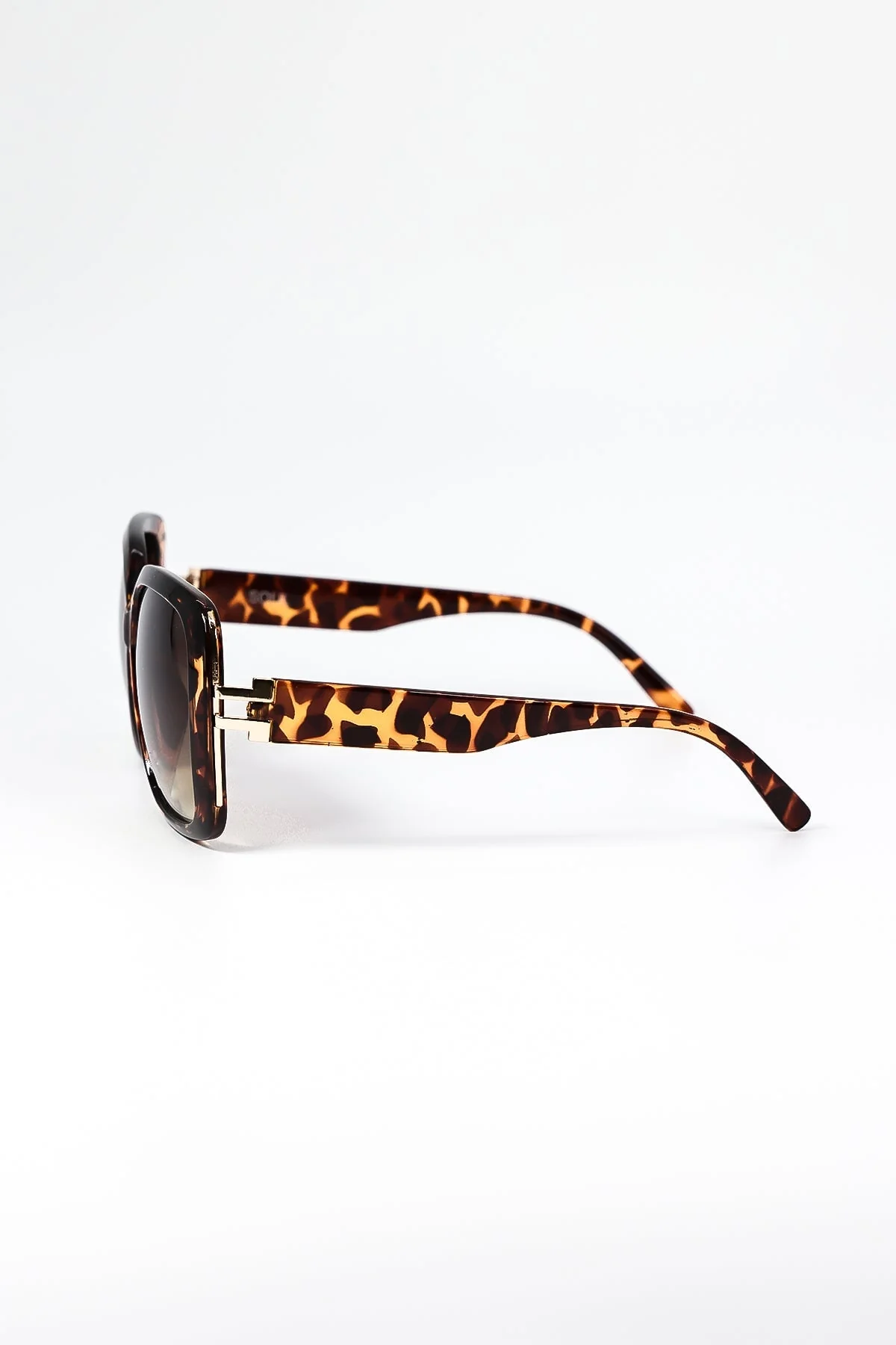 Square Sunglasses in Brown