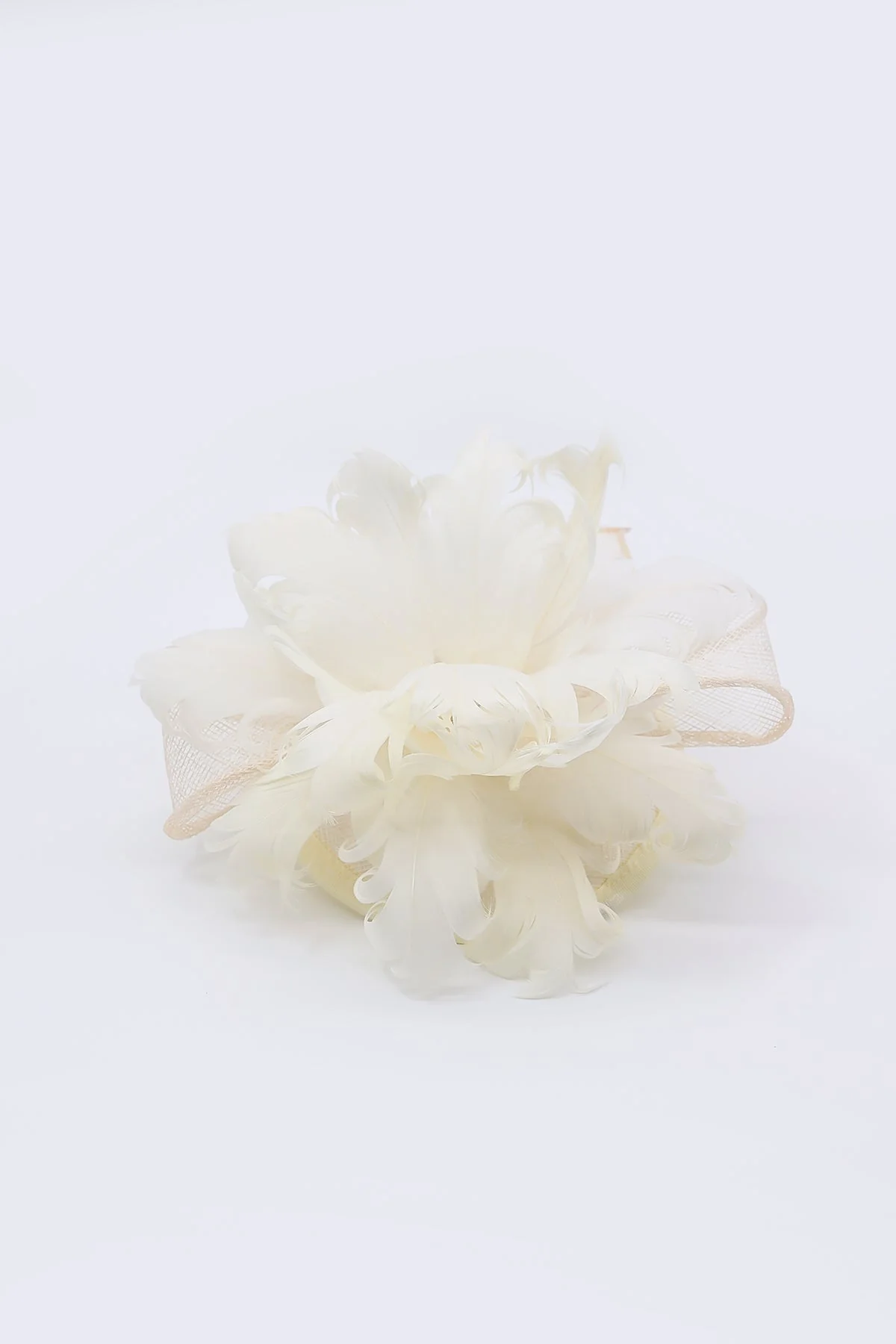 Feather and Flower Fascinator in Cream