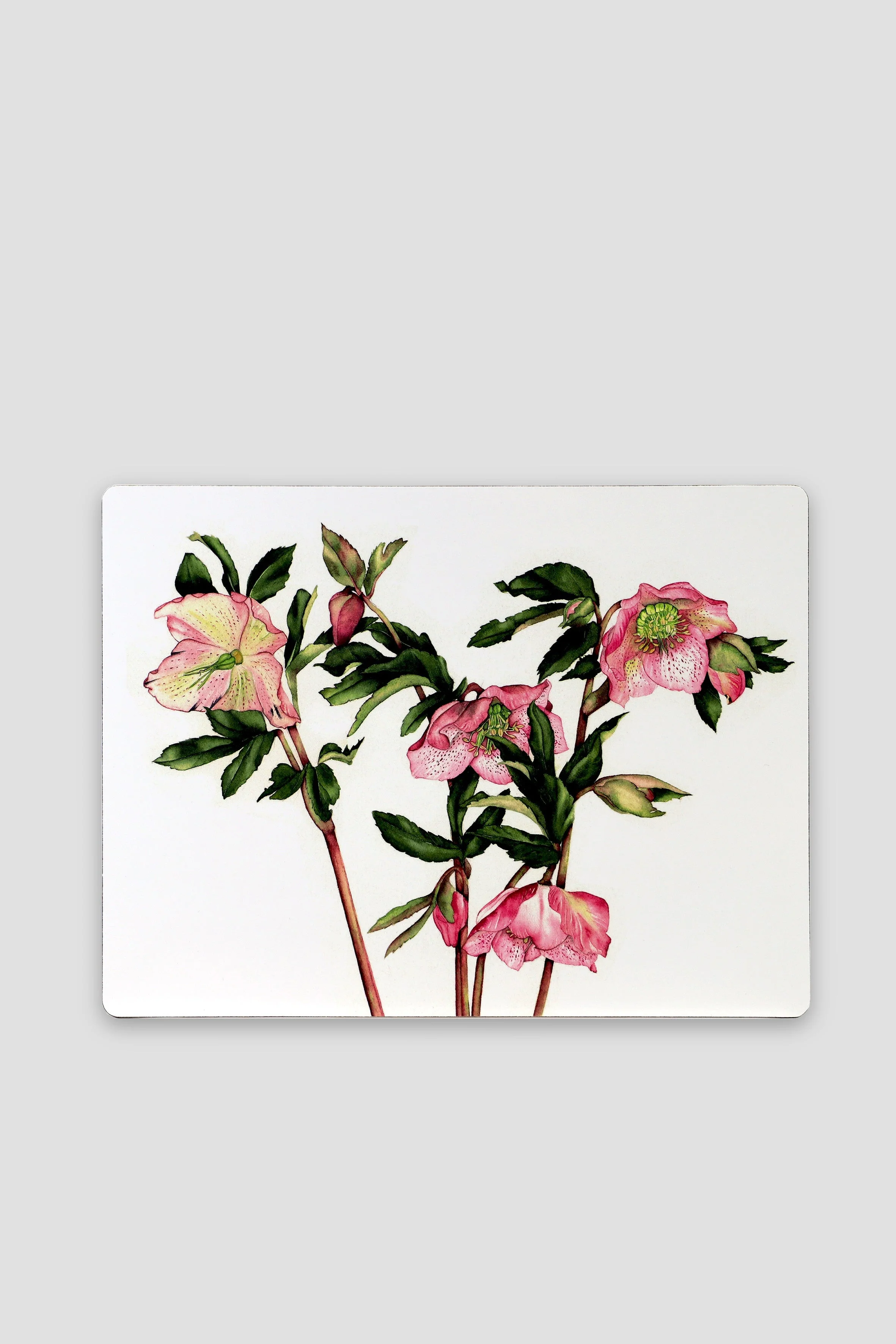 Botanical Cork Backed Placemats S/6