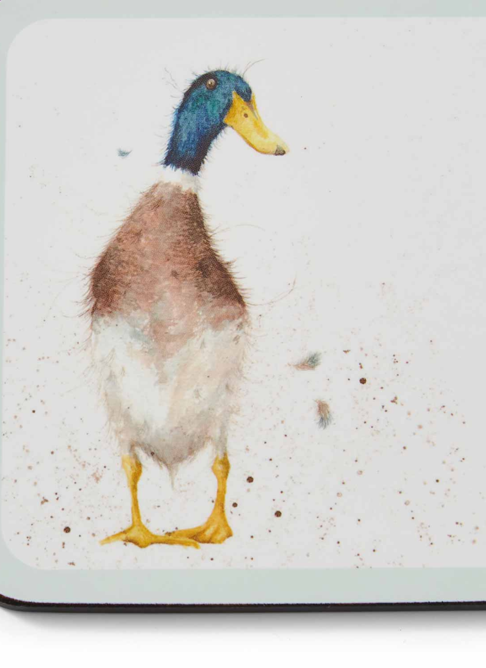 Forest Friends Coasters - Set of 6