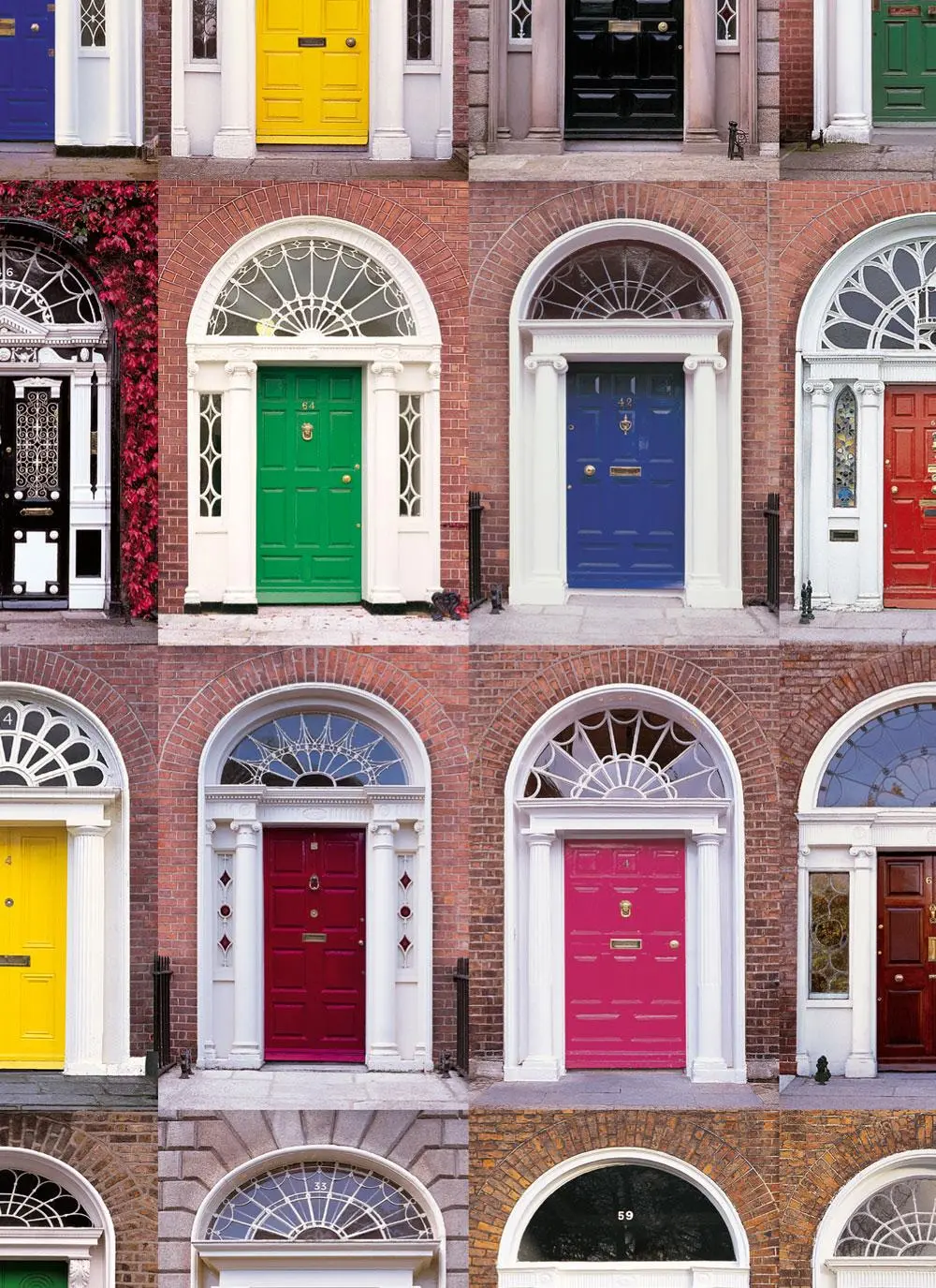Doors of Dublin Placemats