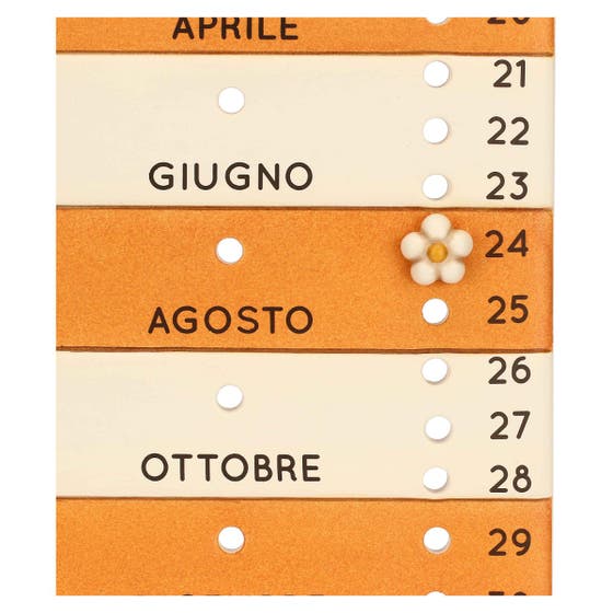 Chroma Wall Calendar