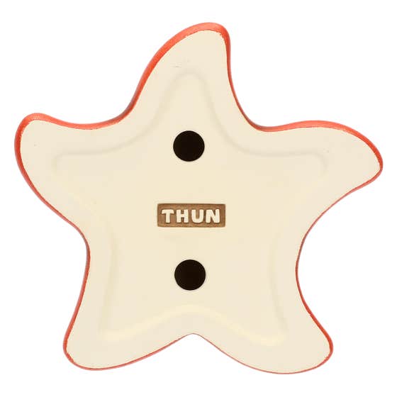 Ceramic starfish