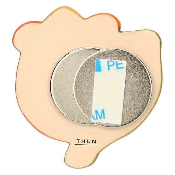 Country ceramic magnets with tulip