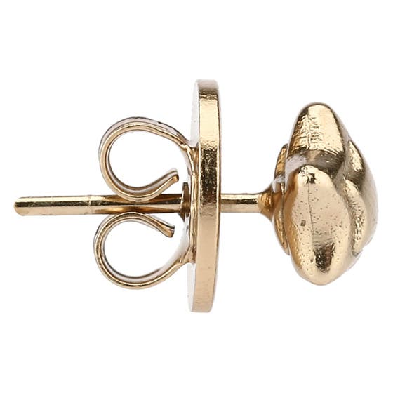 Pin earrings with star