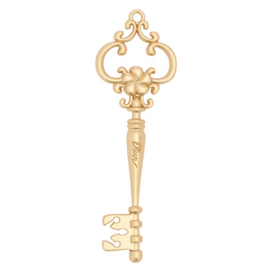 Metal key with frangipani