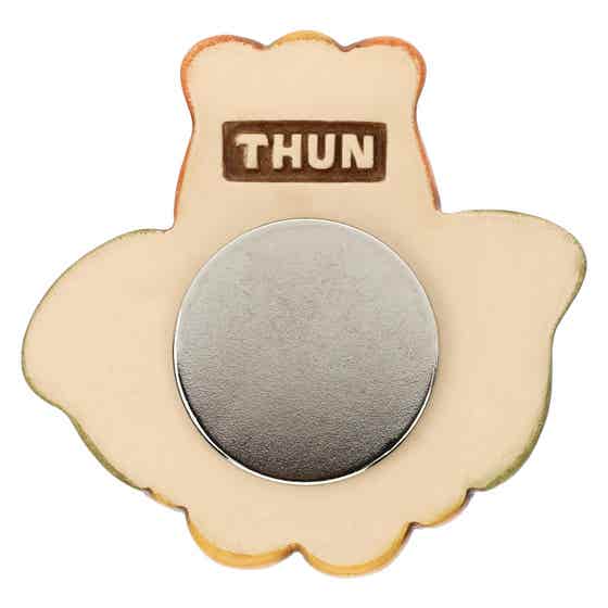 Country tulip magnet