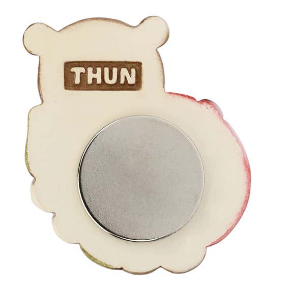 Country lucky ladybird magnet