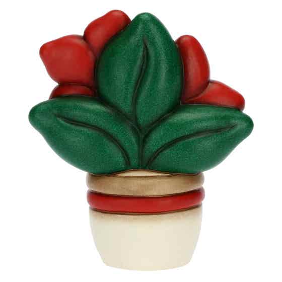 Christmas star flowerpot, medium