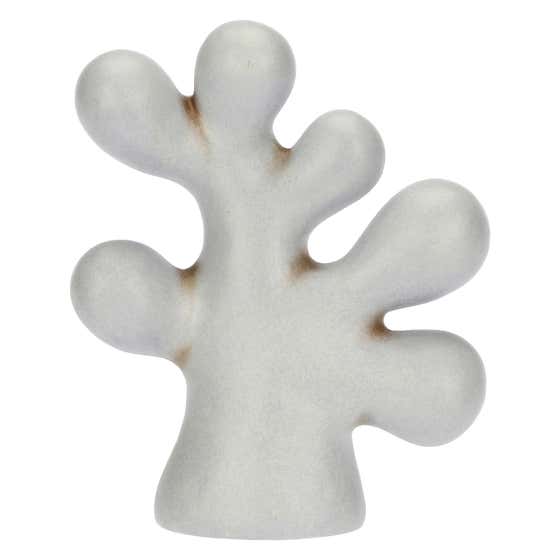Ceramic coral
