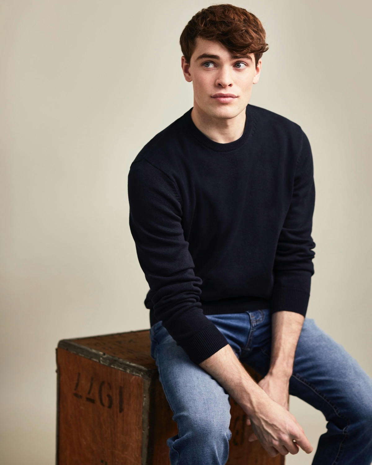 Regular Fit Cotton Crew Neck Jumper