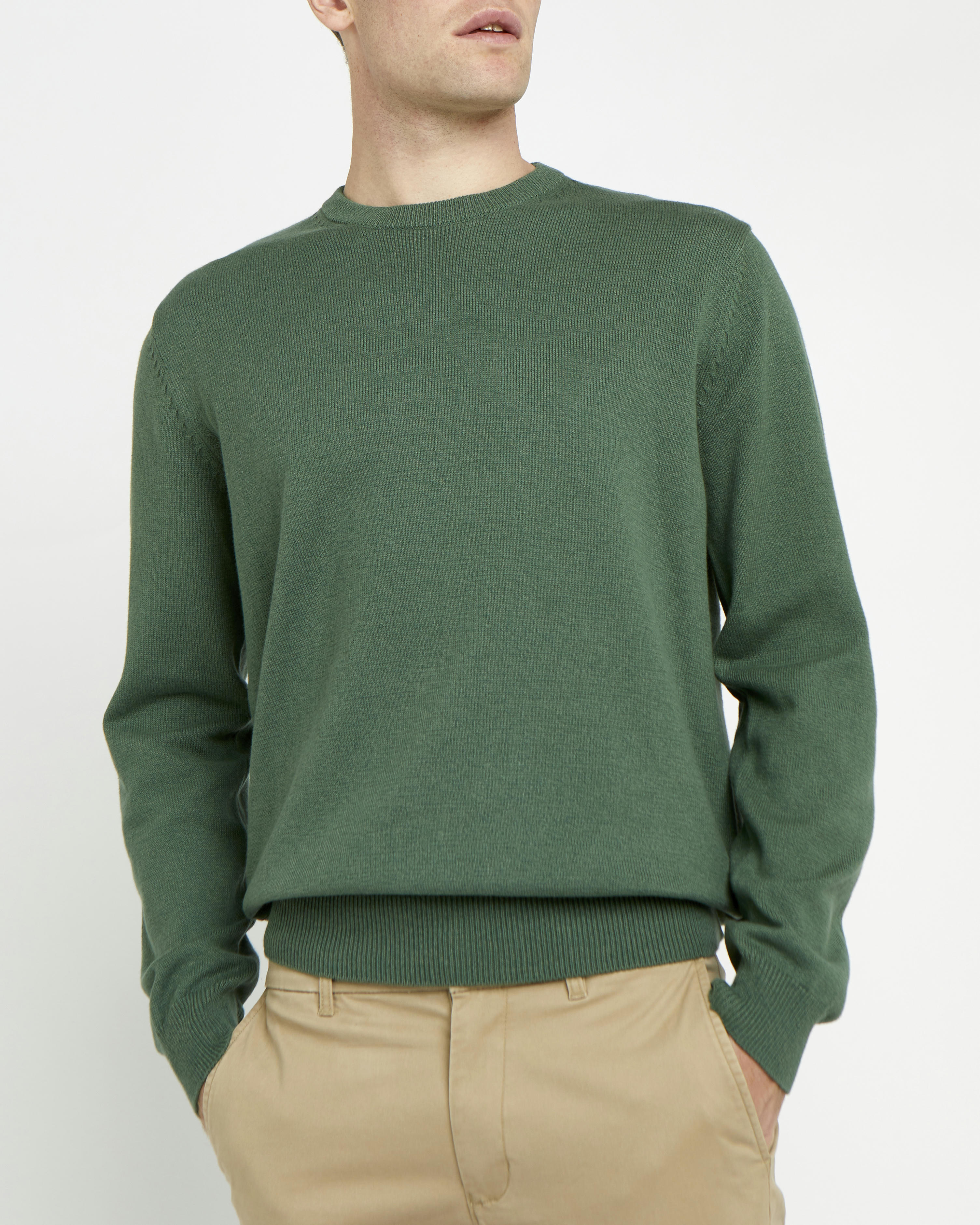 Regular Fit Cotton Crew Neck Jumper