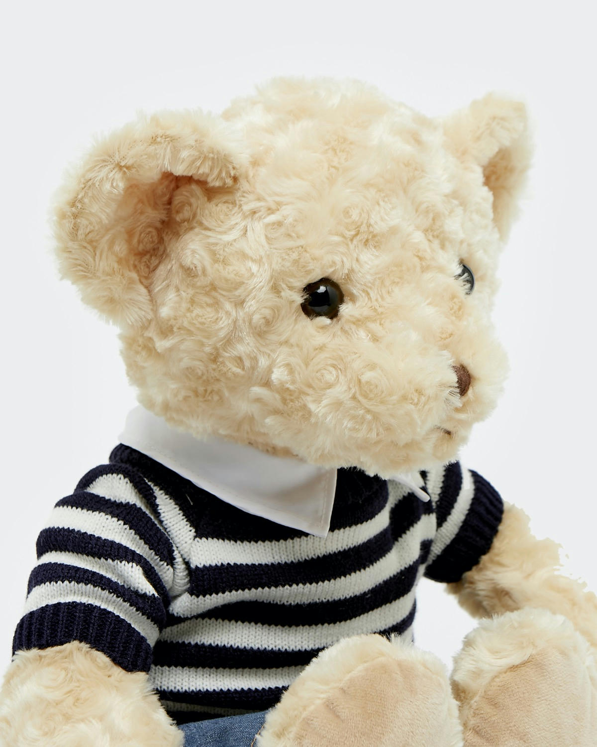 Paul Costelloe Living Costelloe Bear