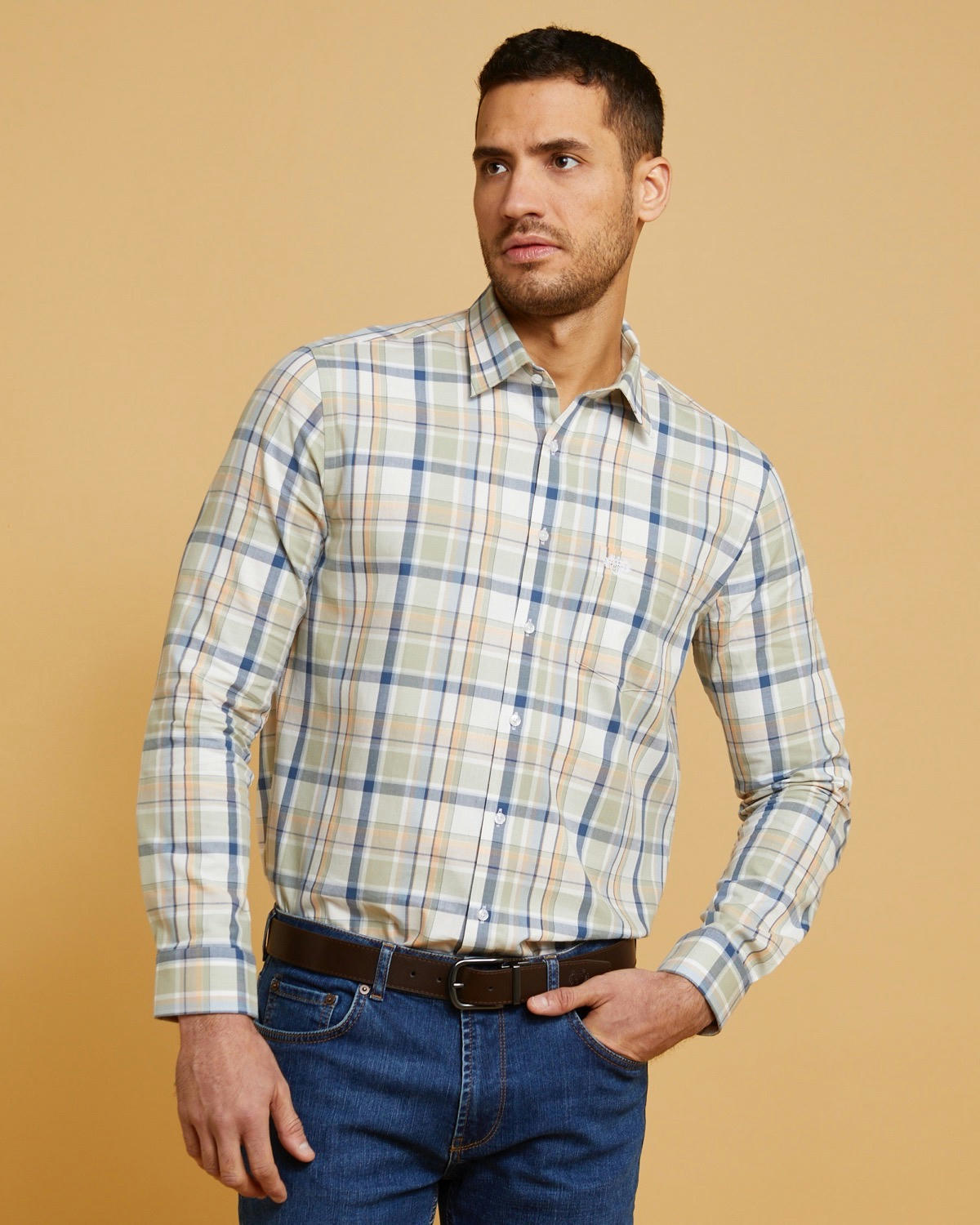 Paul Costelloe Living Check Shirt