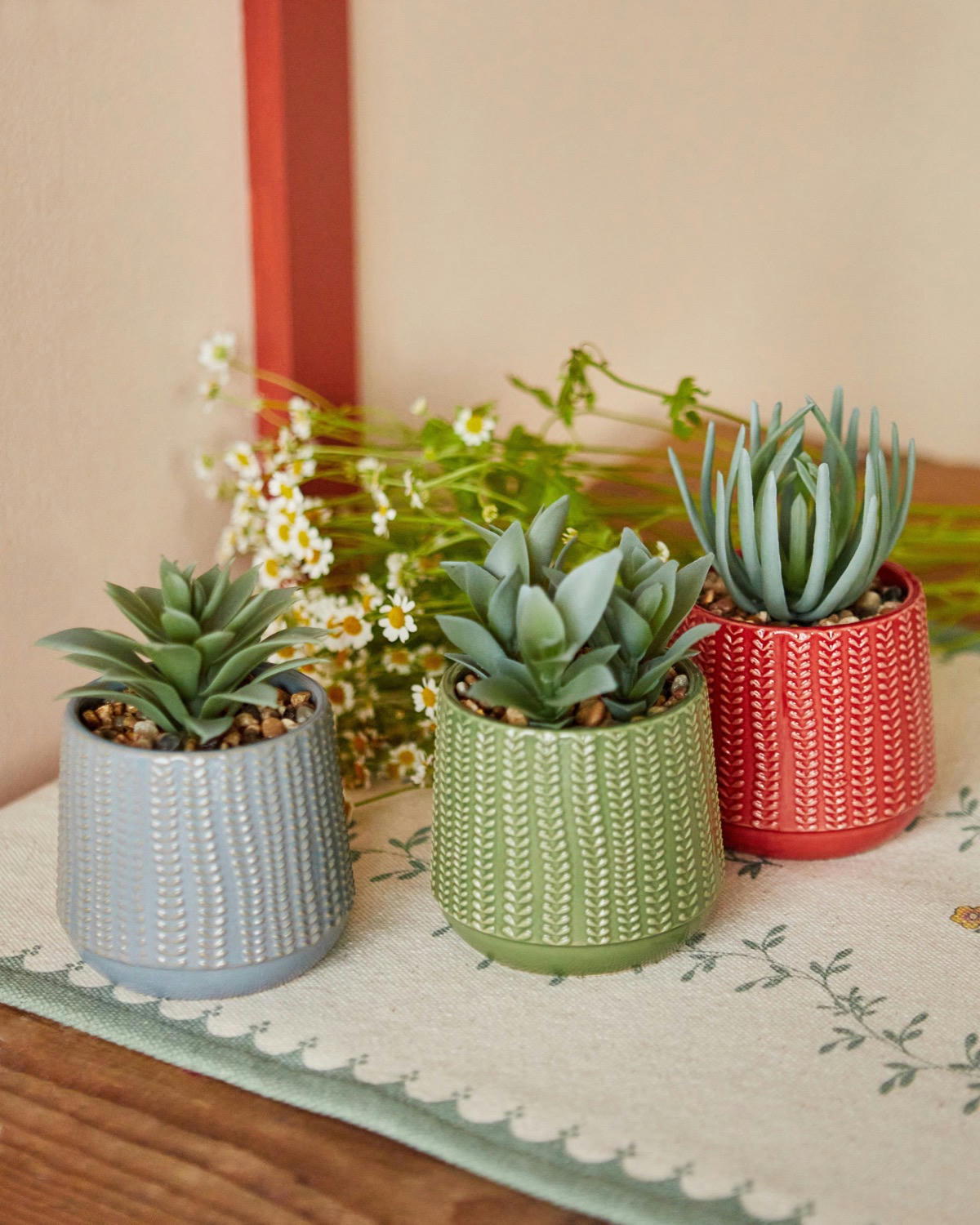 Carolyn Donnelly Eclectic Succulent In Pot