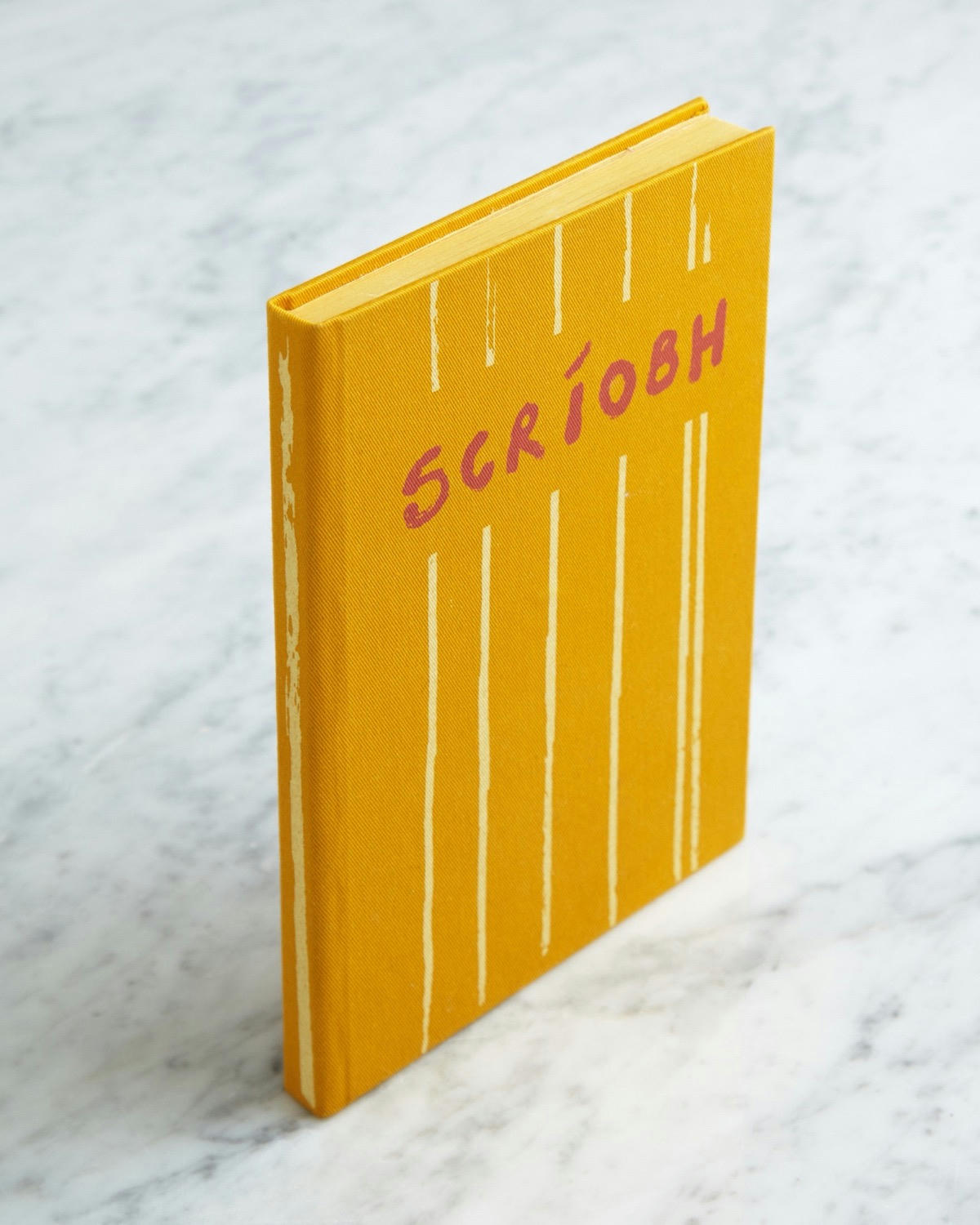 Helen James Considered Scriobh Notebook