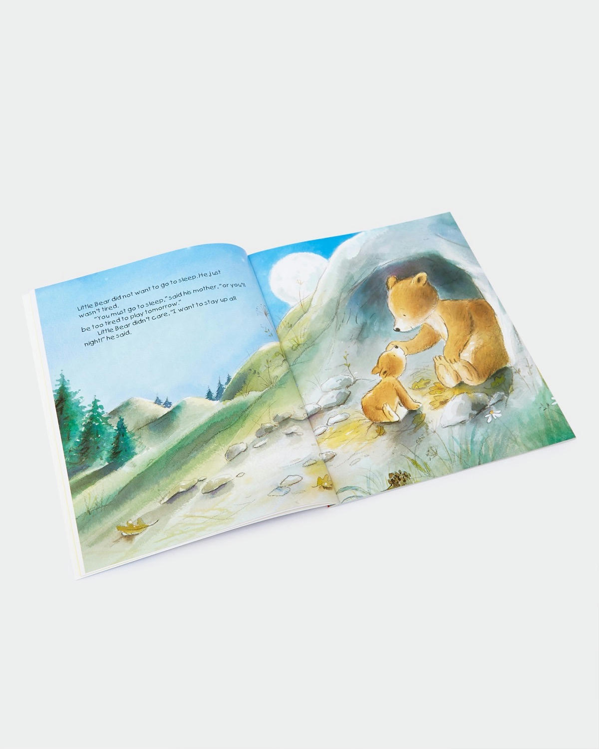 Children's Illustrated Storybook