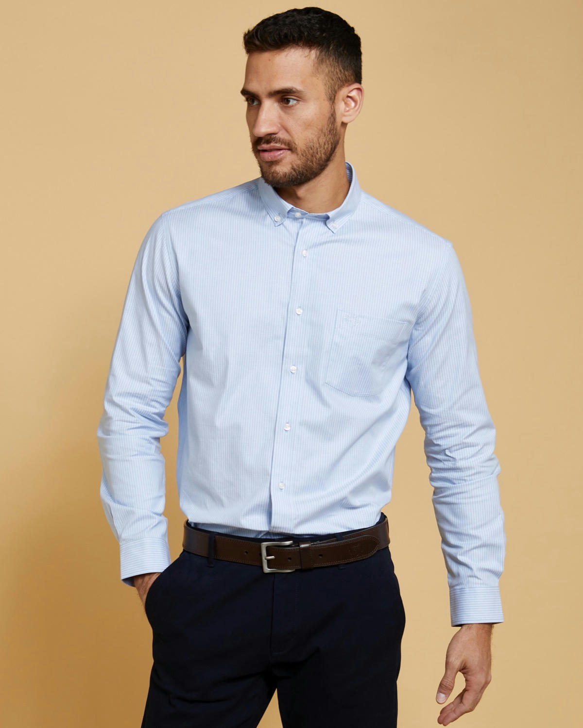 Paul Costelloe Living Blue Stripe Oxford Shirt