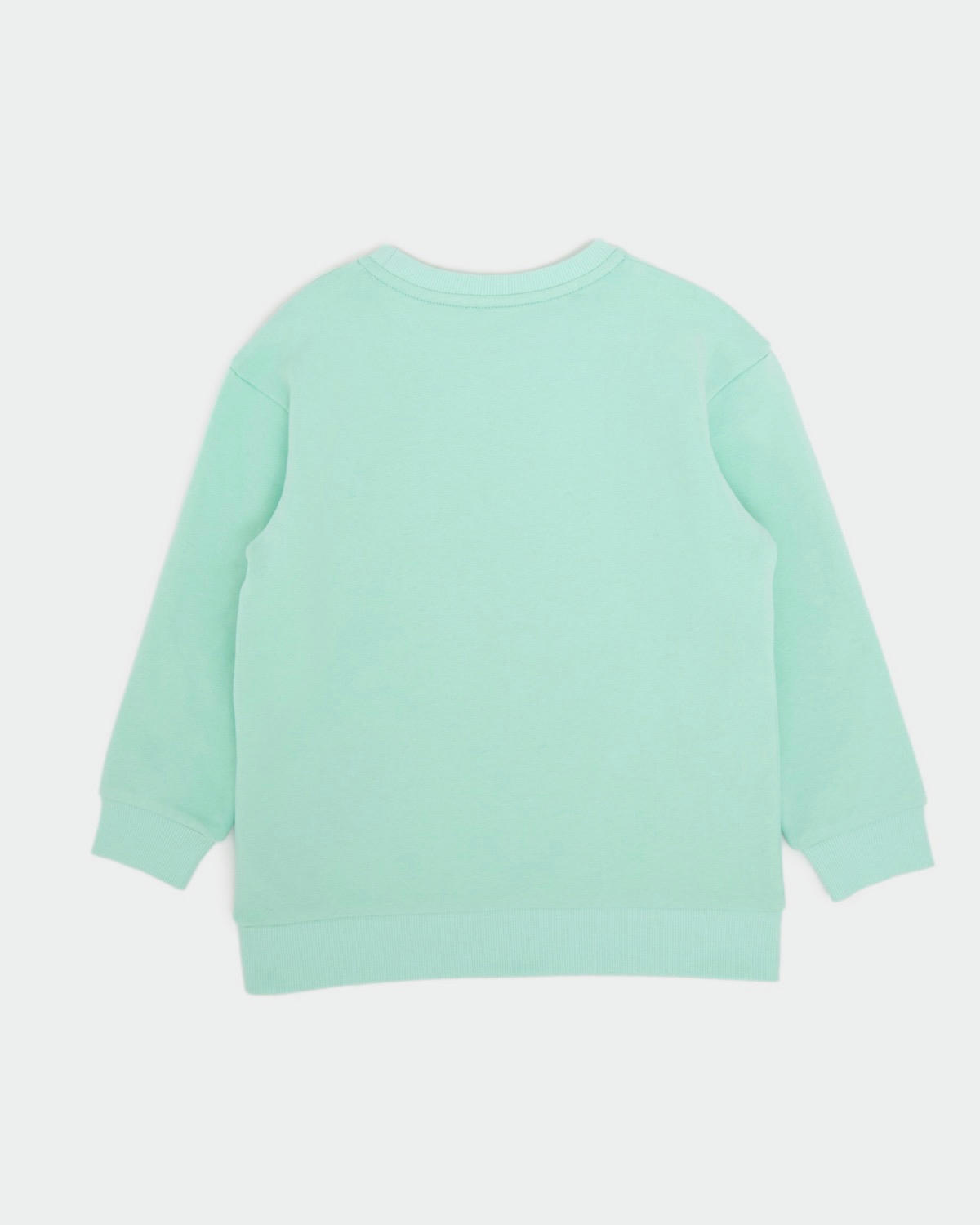 Care Bears Shamrock Sweatshirt (3-10 Years)