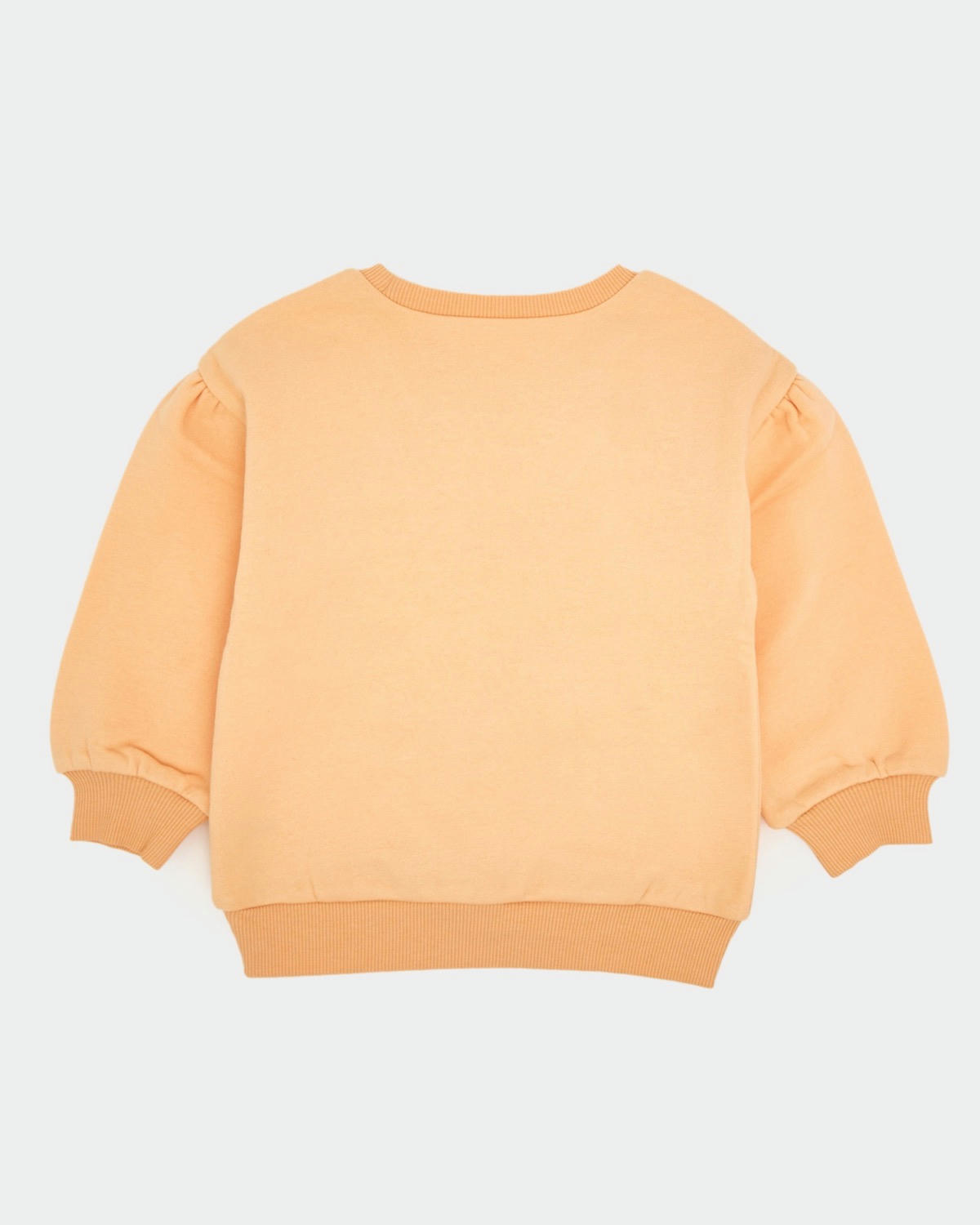 Crew Neck Sweatshirt (6 Months-4 Years)