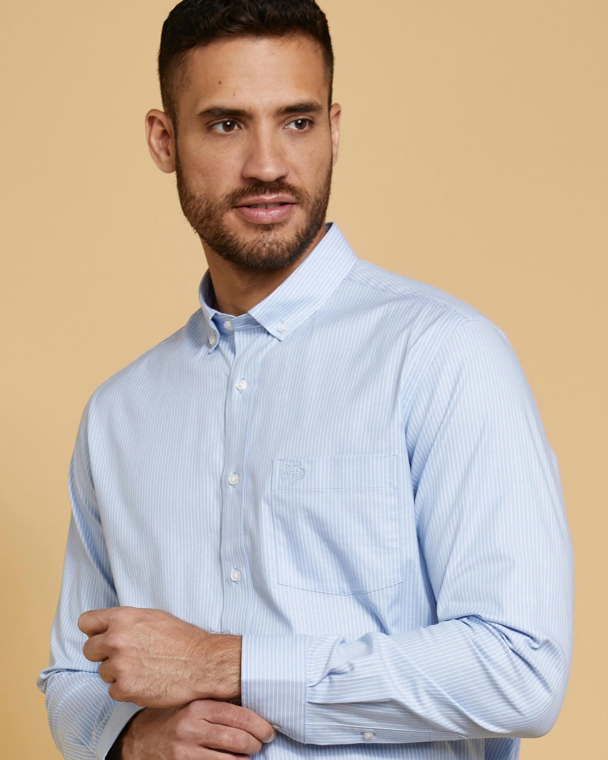 Paul Costelloe Living Blue Stripe Oxford Shirt