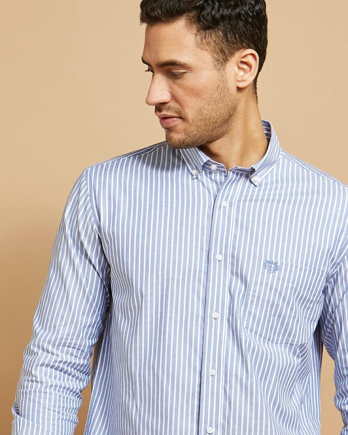 Paul Costelloe Living Stretch Regular Fit Oxford Stripe