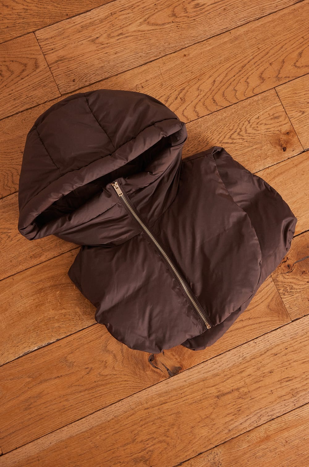 LUCIEN hooded collar