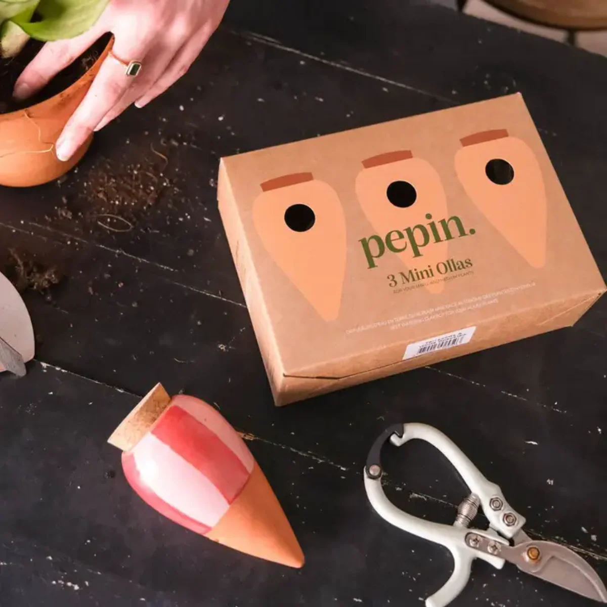 Trio Mini Diffuseur d'eau naturel Mini Ollas - Les rayés